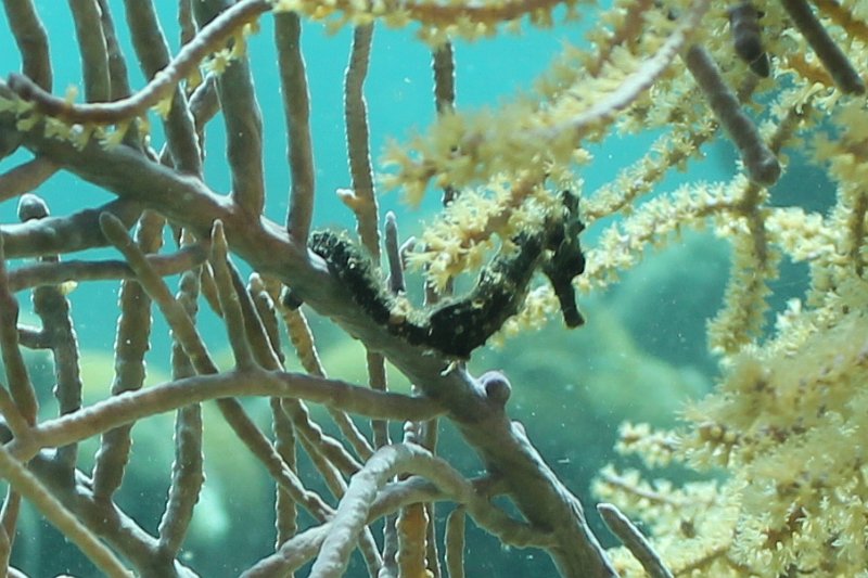 Curacao 04-12 069.jpg